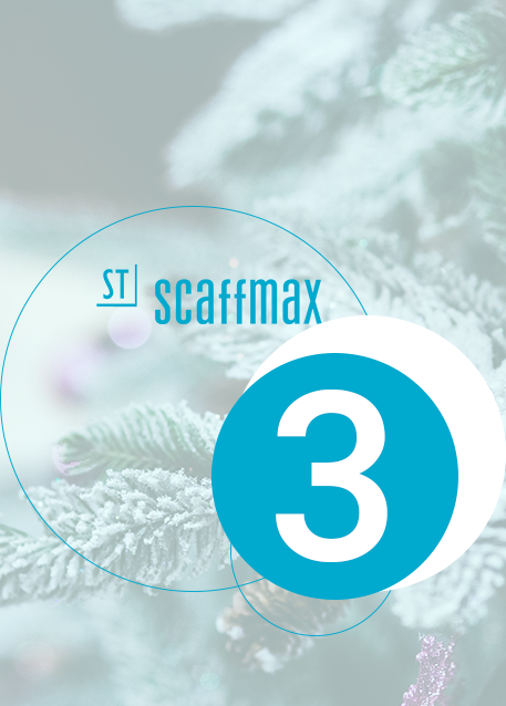 Adventsaktion 3: scaffmax und Bordbretter