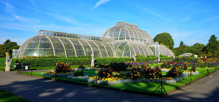 Palm House in Kew Gardens